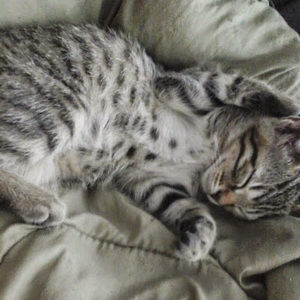 Meet your Posher, Love